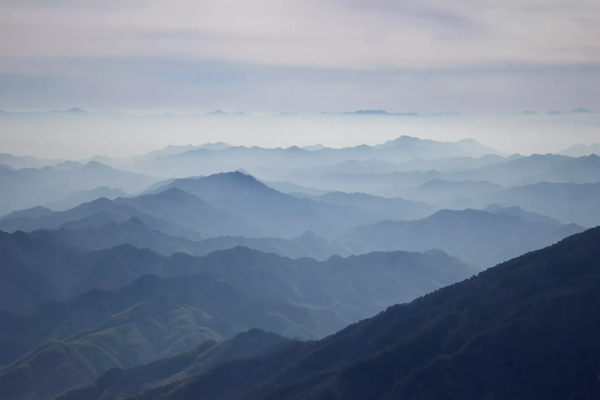 Mandarin Duck Blades – Part 11